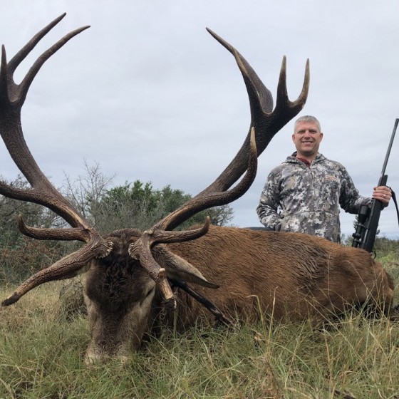 Red Stag Hunts | Star S Ranch